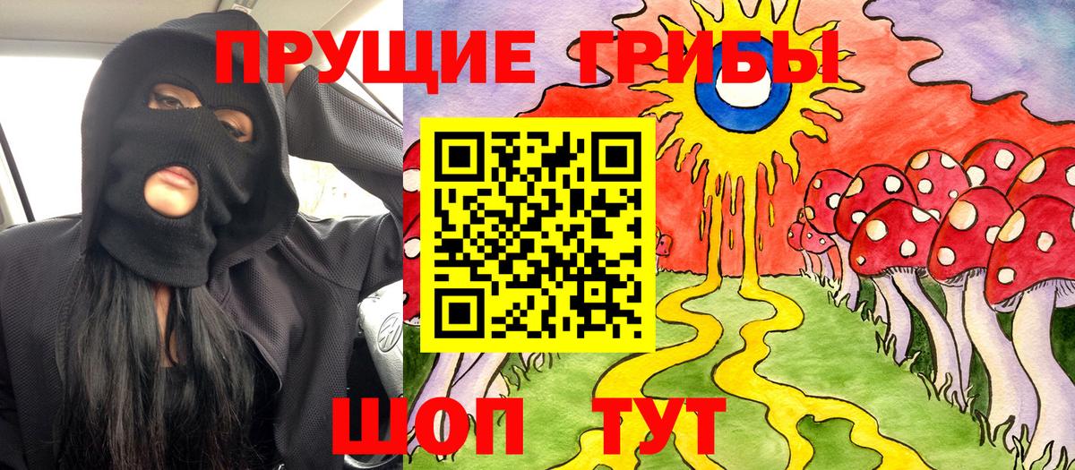 Серов  Галлюциногенные грибы прущие грибы  Вход с VPN  Галлюциногенные грибы мицелий 